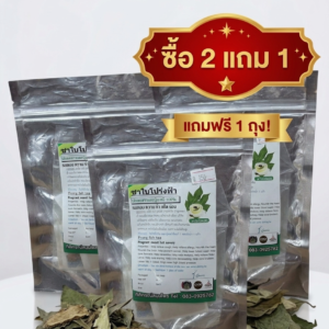 โปรโมชันชาใบโปร่งฟ้า ซื้อ 2 แถม 1✨