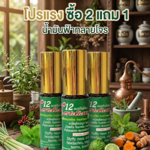 🔥✨โปรแรง ซื้อ 2แถม1 น้ำมันฟ้าทลายโจร