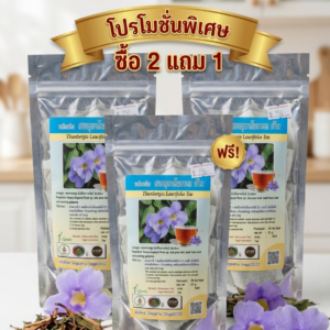 โปรโมชันชาสมุนไพรรางจืด ซื้อ 2 แถม 1 🔥