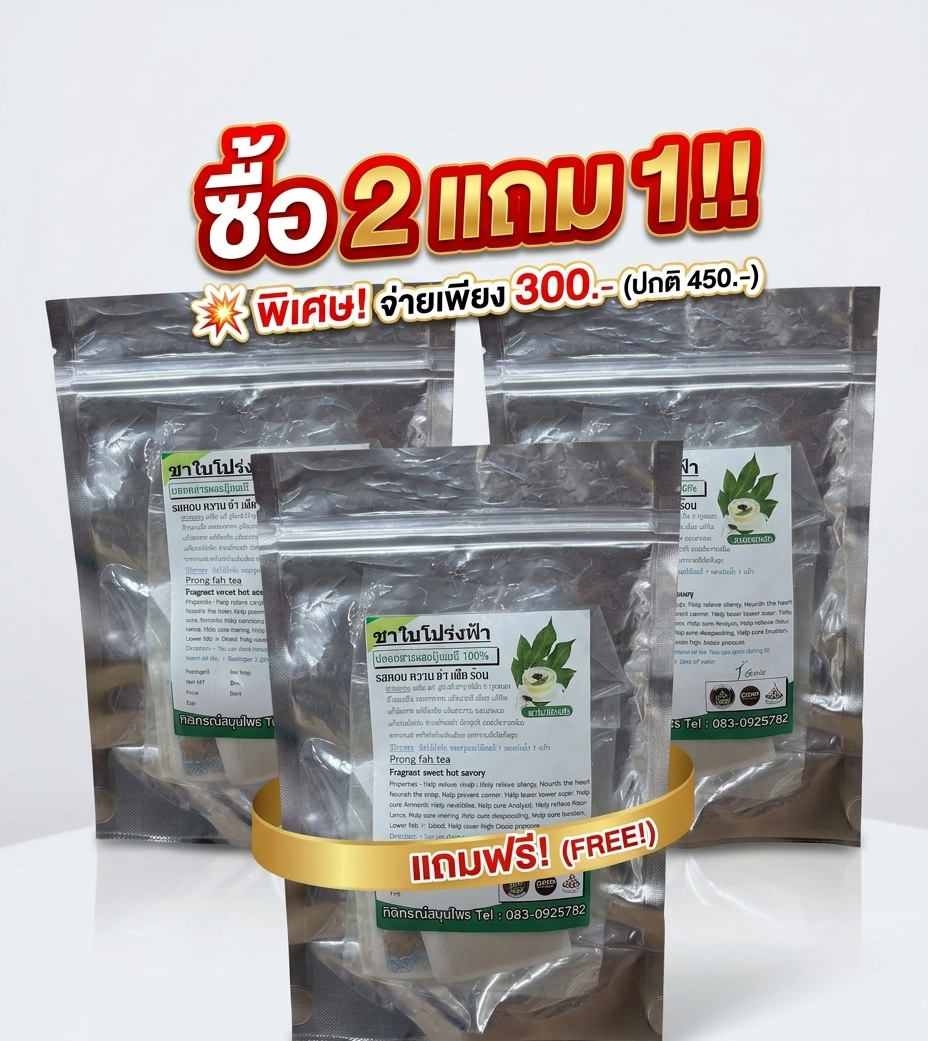 โปรโมชันชาใบโปร่งฟ้า ซื้อ 2 แถม 1✨ โปรโมชันชาใบโปร่งฟ้า ซื้อ 2 แถม 1✨