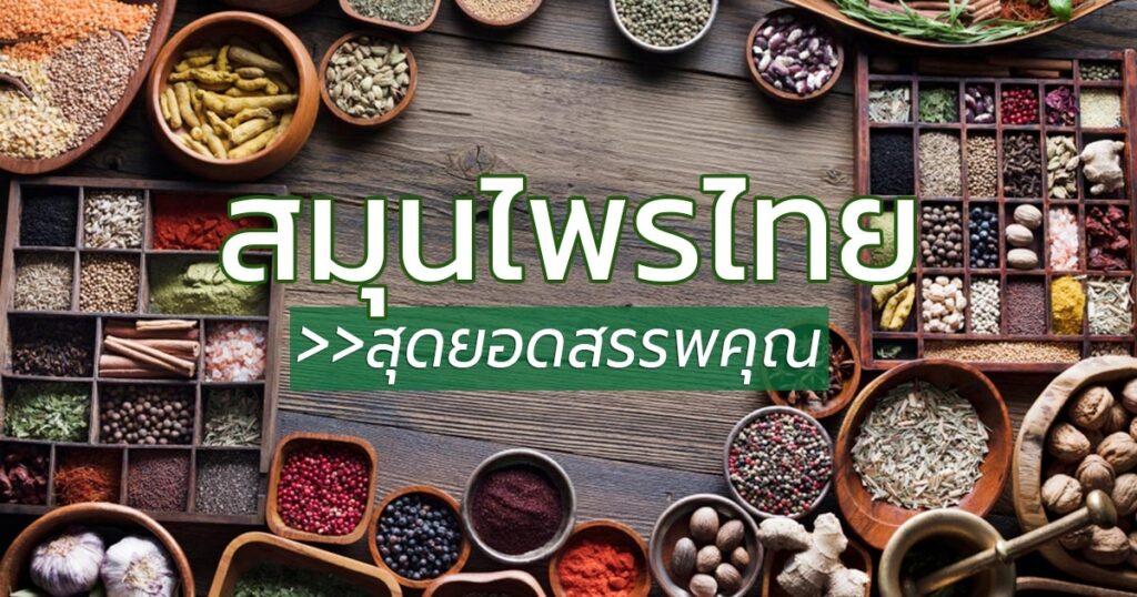 ð āļŠāļļāļāļ āļēāļāđāļĨāļ°āļāļēāļĢāļāļđāđāļĨāļāļąāļ§āđāļāļ (kittikorn) s 37827 2766